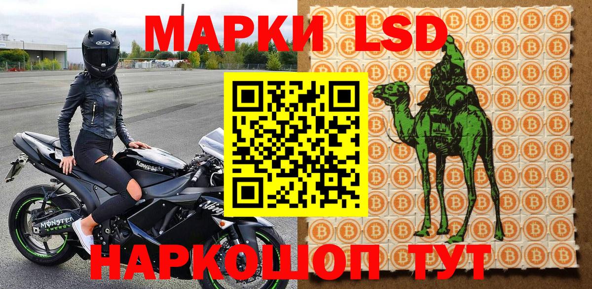 Марки 25I-NBOMe  Наркотические марки 1500мкг  Вход с VPN  Зеленогорск  Наркотические марки 1500мкг 