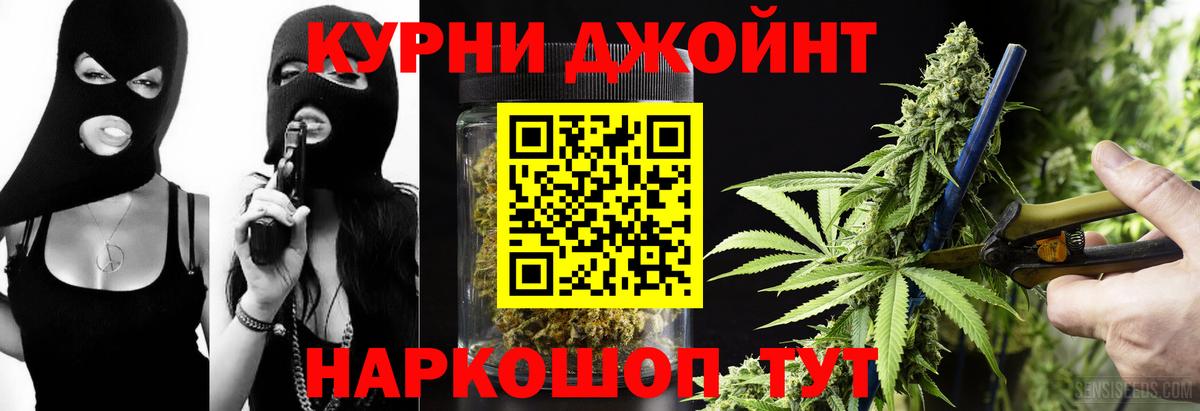 Конопля сатива Зеленогорск